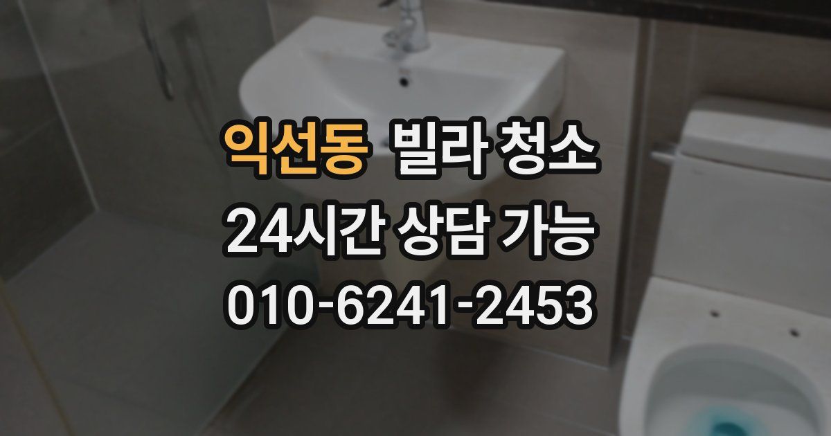 익선동 빌라 청소