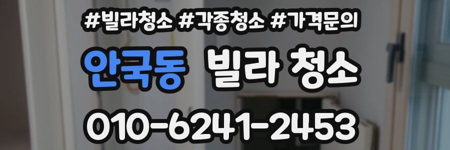 안국동 빌라 청소