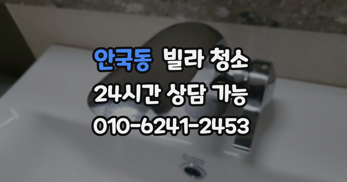 안국동 빌라 청소