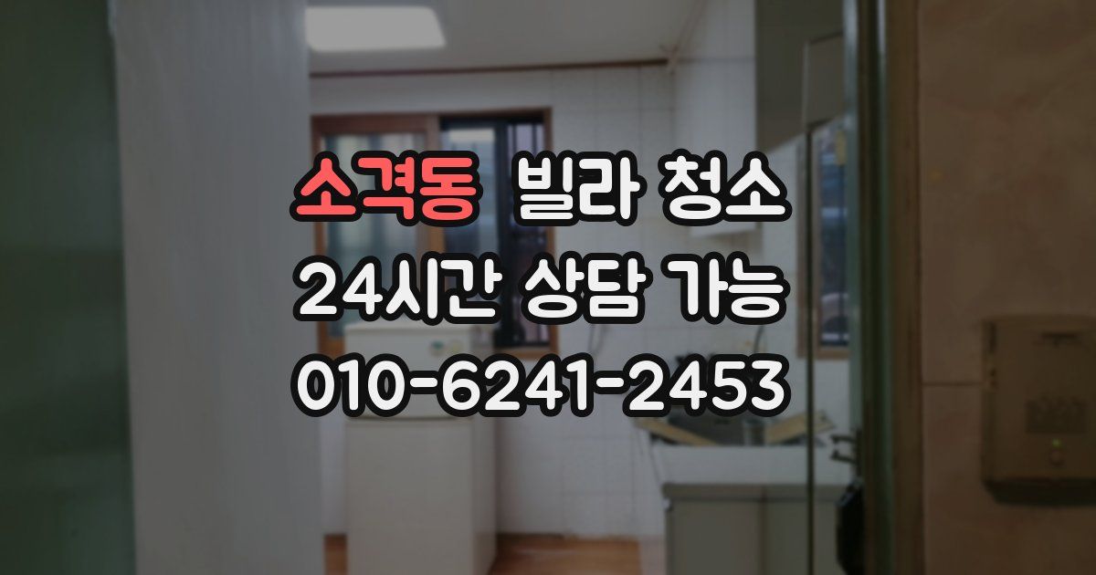 소격동 빌라 청소