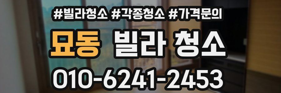 묘동 빌라 청소