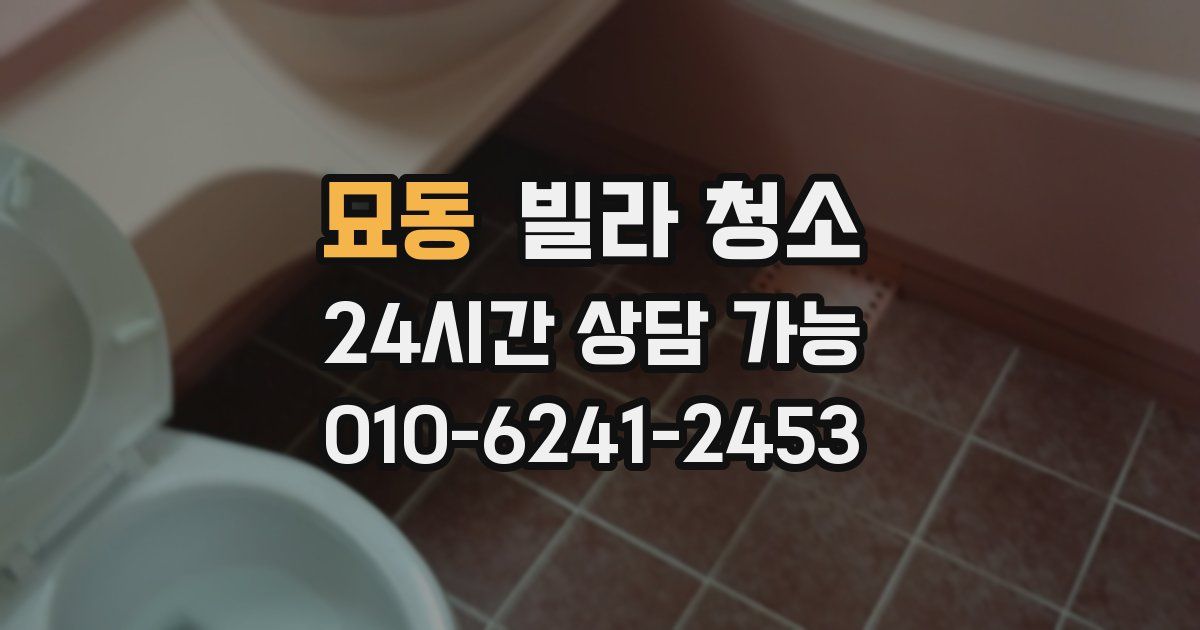 묘동 빌라 청소