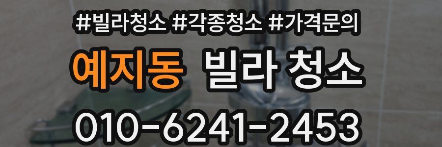 예지동 빌라 청소