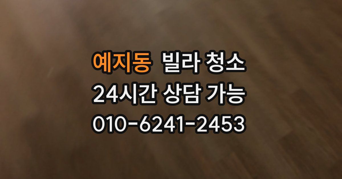 예지동 빌라 청소