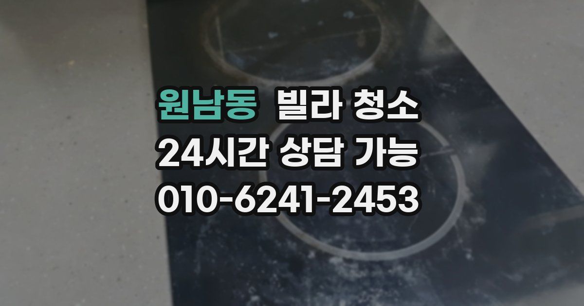 원남동 빌라 청소