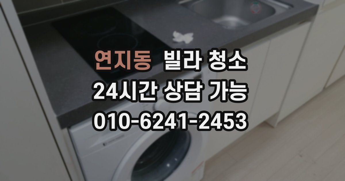 연지동 빌라 청소