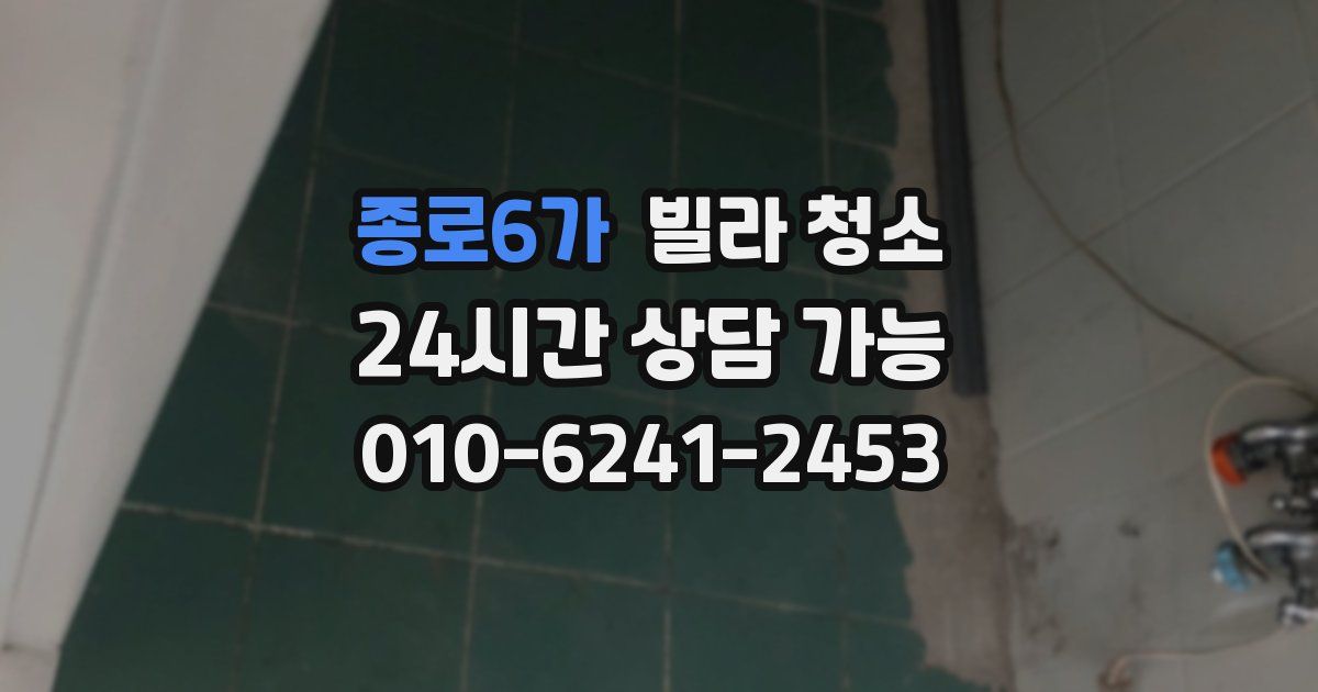 종로6가 빌라 청소