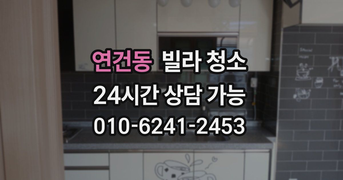 연건동 빌라 청소