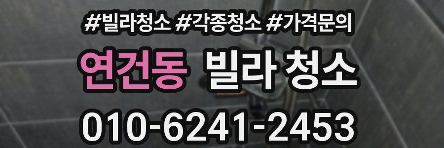 연건동 빌라 청소