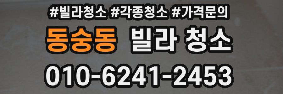 동숭동 빌라 청소