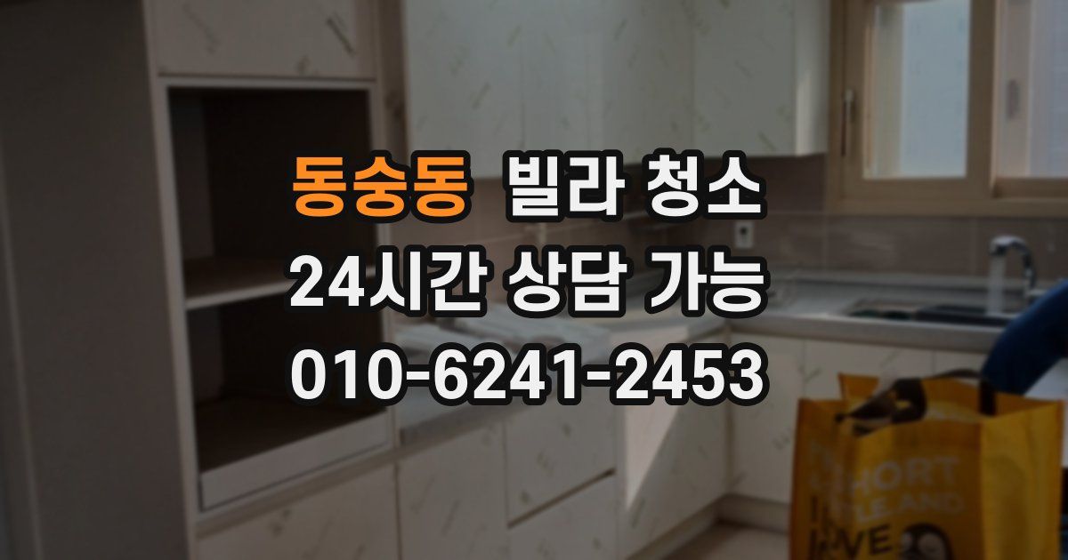 동숭동 빌라 청소