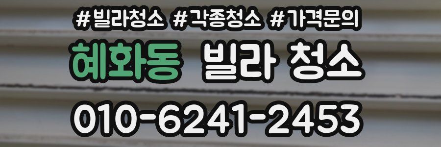 혜화동 빌라 청소