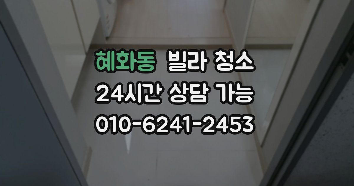 혜화동 빌라 청소