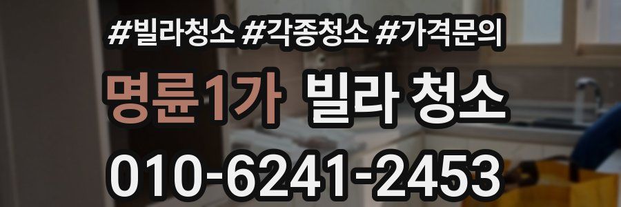 명륜1가 빌라 청소