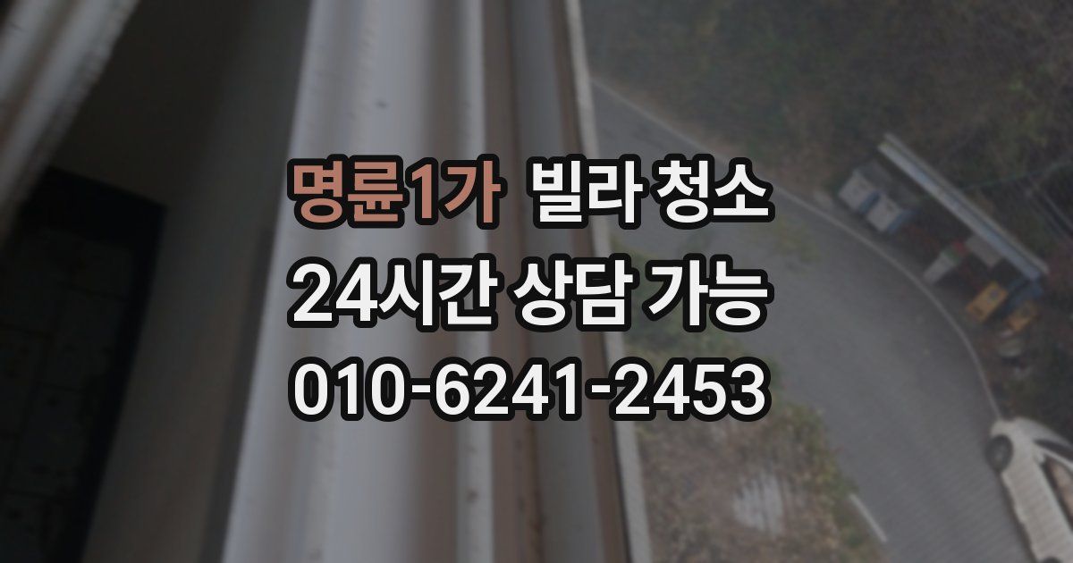 명륜1가 빌라 청소