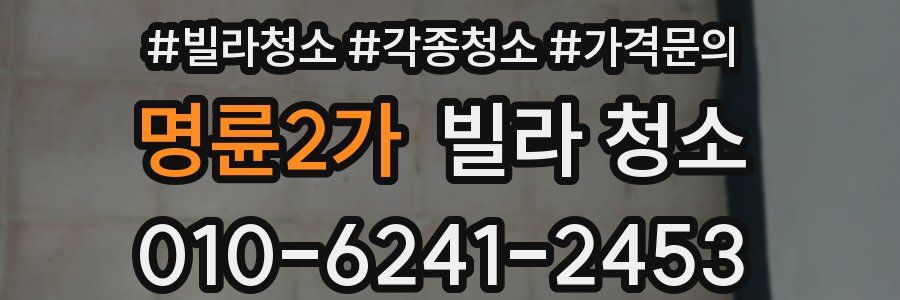 명륜2가 빌라 청소