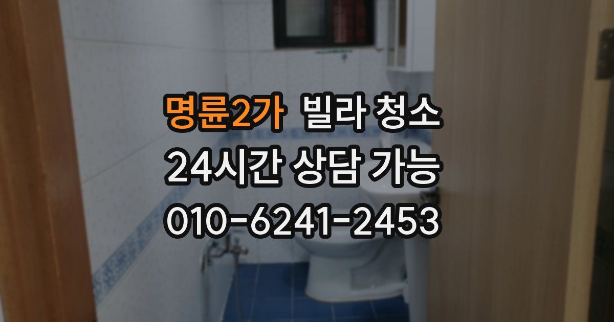 명륜2가 빌라 청소