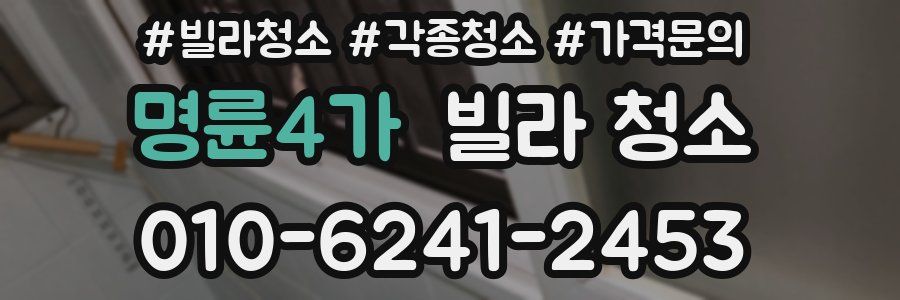 명륜4가 빌라 청소