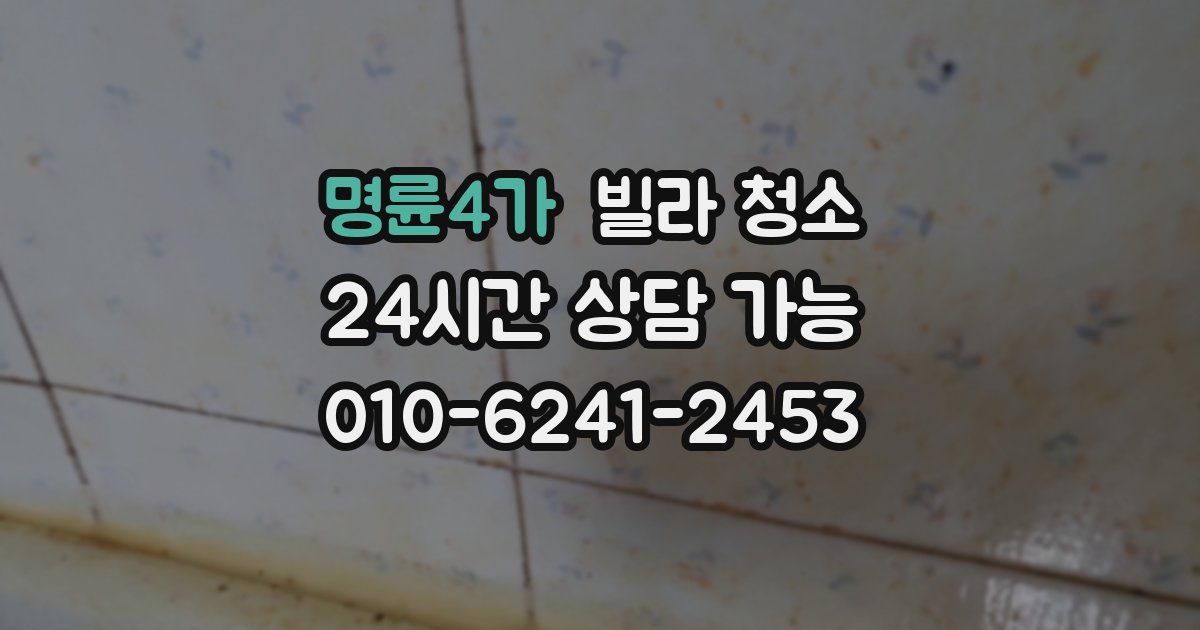 명륜4가 빌라 청소