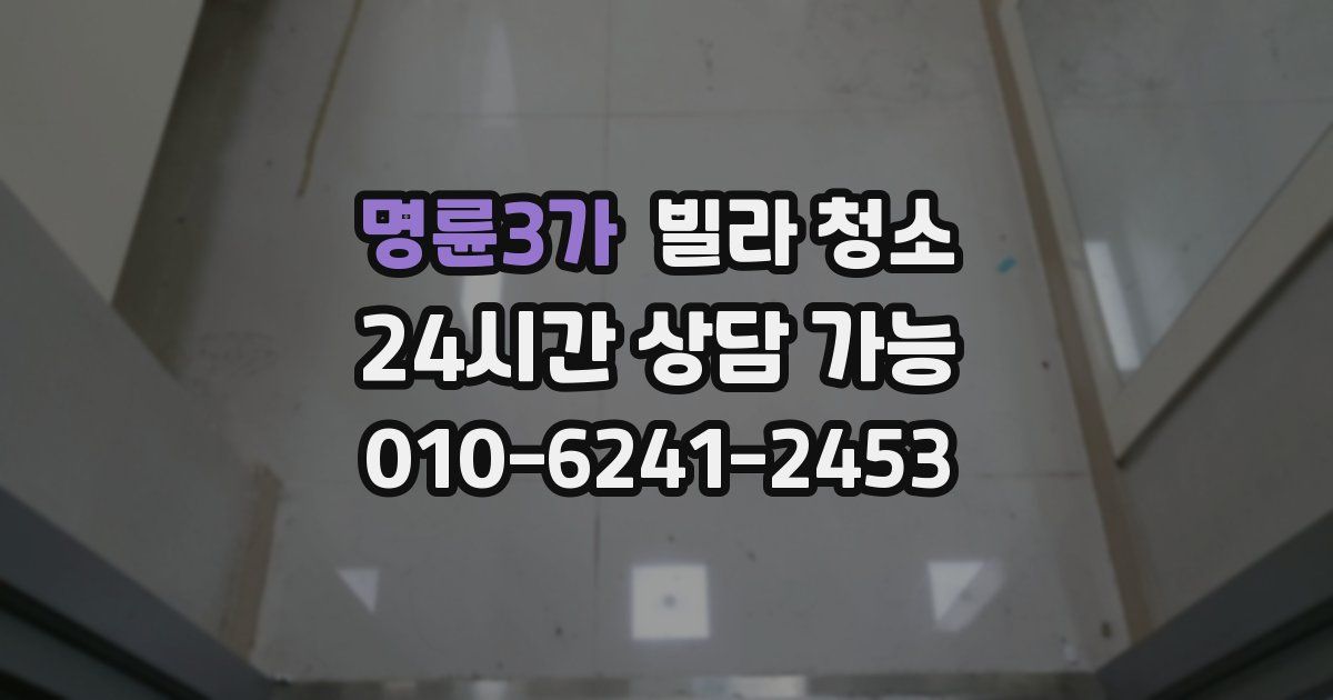 명륜3가 빌라 청소