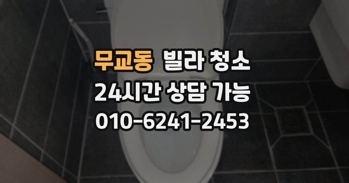 무교동 빌라 청소