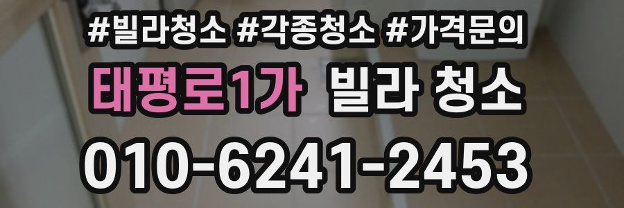 태평로1가 빌라 청소