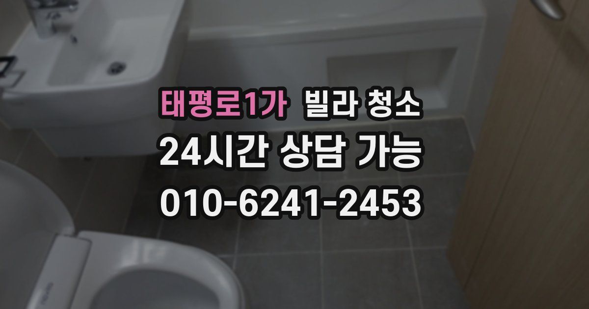 태평로1가 빌라 청소