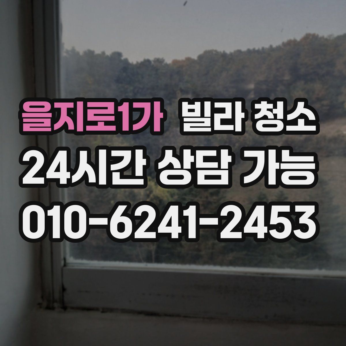 을지로1가 빌라 청소