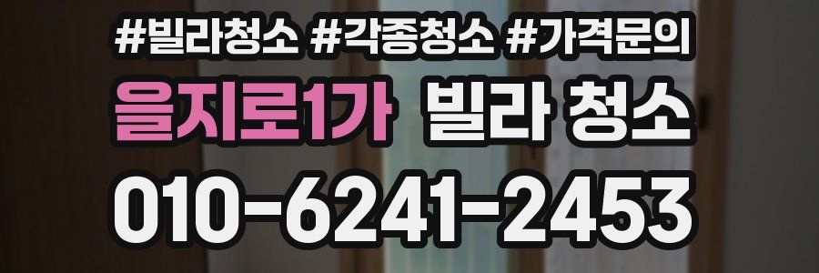 을지로1가 빌라 청소