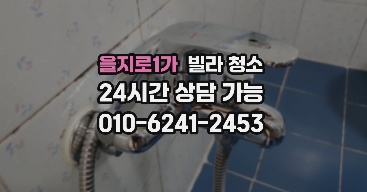 을지로1가 빌라 청소
