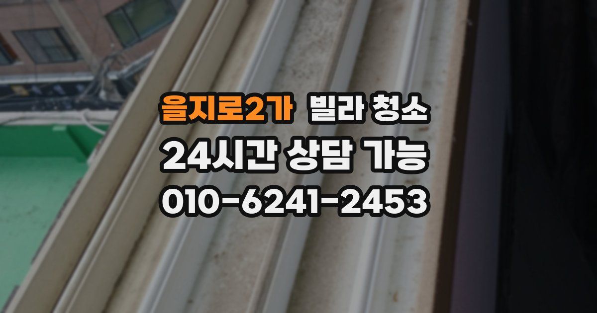 을지로2가 빌라 청소
