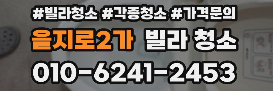 을지로2가 빌라 청소