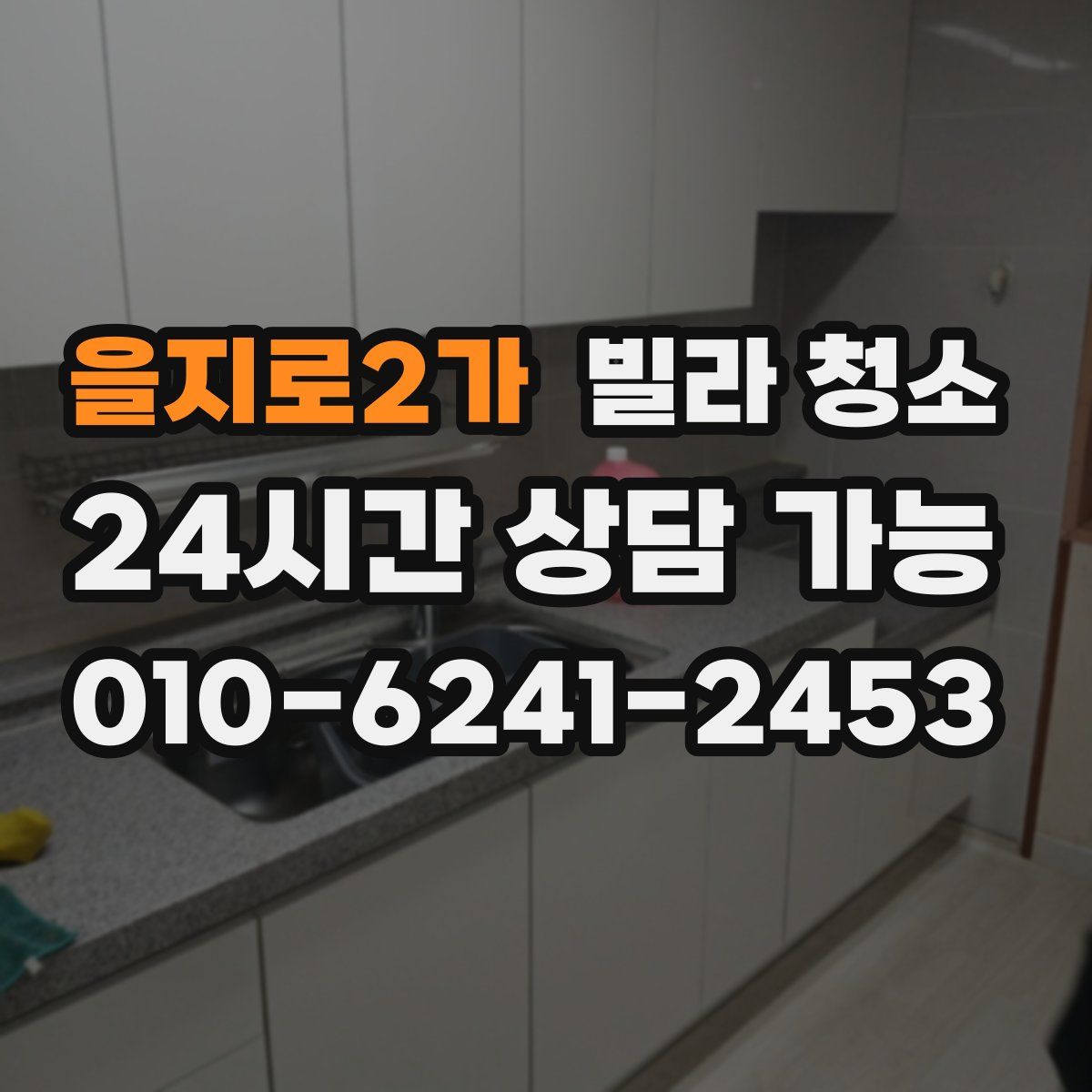 을지로2가 빌라 청소