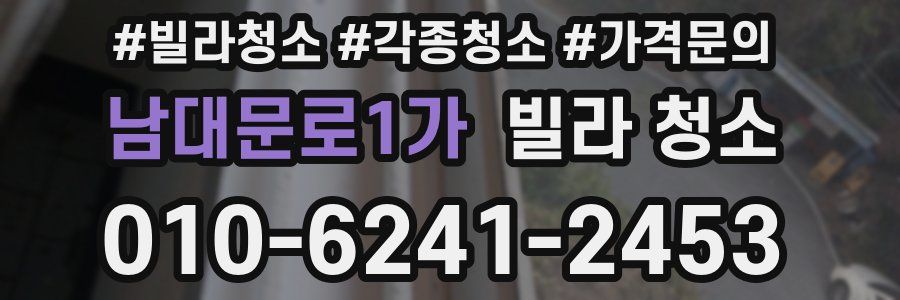 남대문로1가 빌라 청소