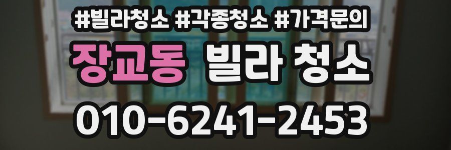 장교동 빌라 청소