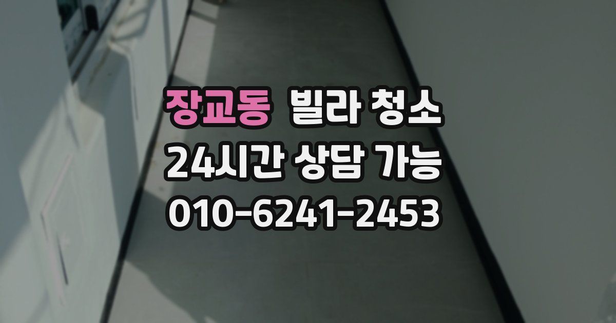 장교동 빌라 청소