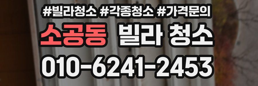 소공동 빌라 청소
