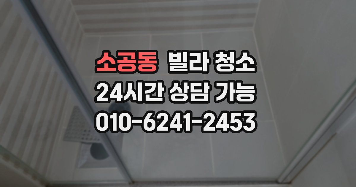 소공동 빌라 청소