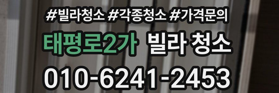 태평로2가 빌라 청소