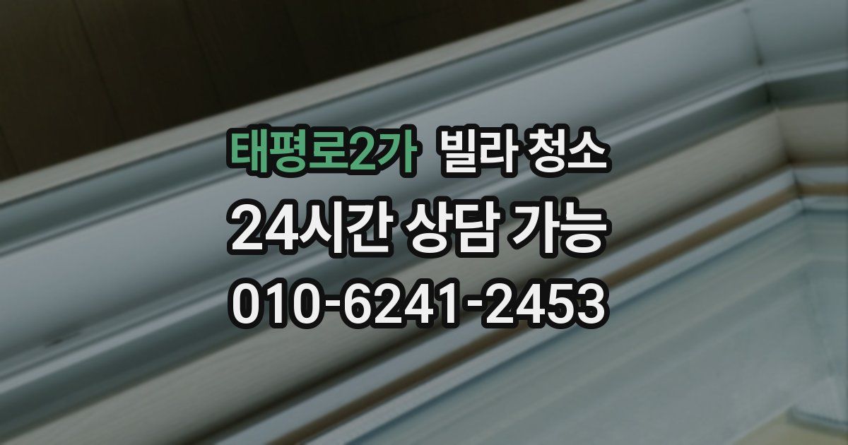 태평로2가 빌라 청소