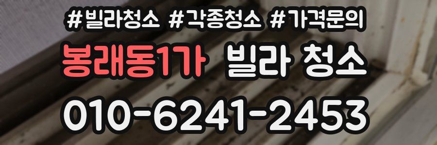 봉래동1가 빌라 청소