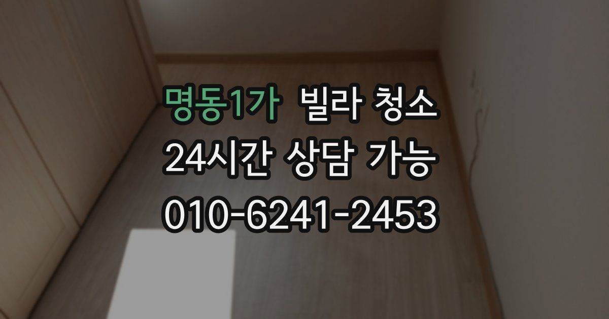 명동1가 빌라 청소