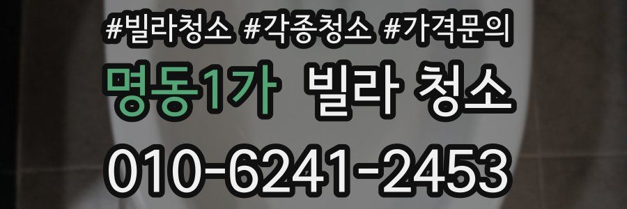 명동1가 빌라 청소