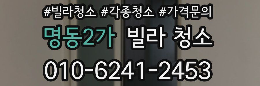 명동2가 빌라 청소