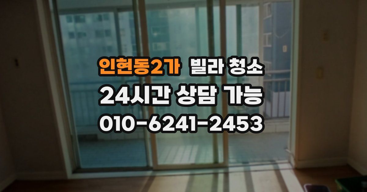 인현동2가 빌라 청소