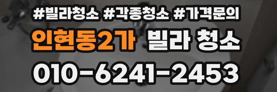 인현동2가 빌라 청소