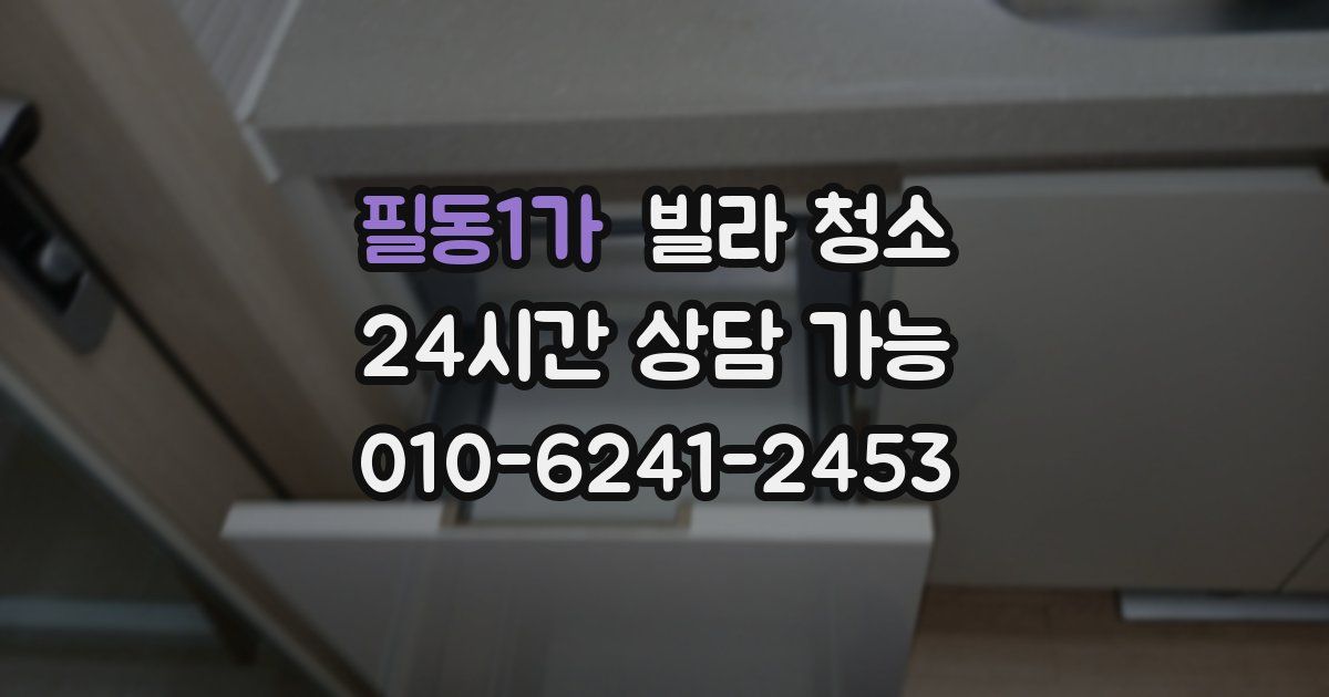 필동1가 빌라 청소