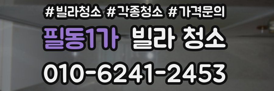 필동1가 빌라 청소