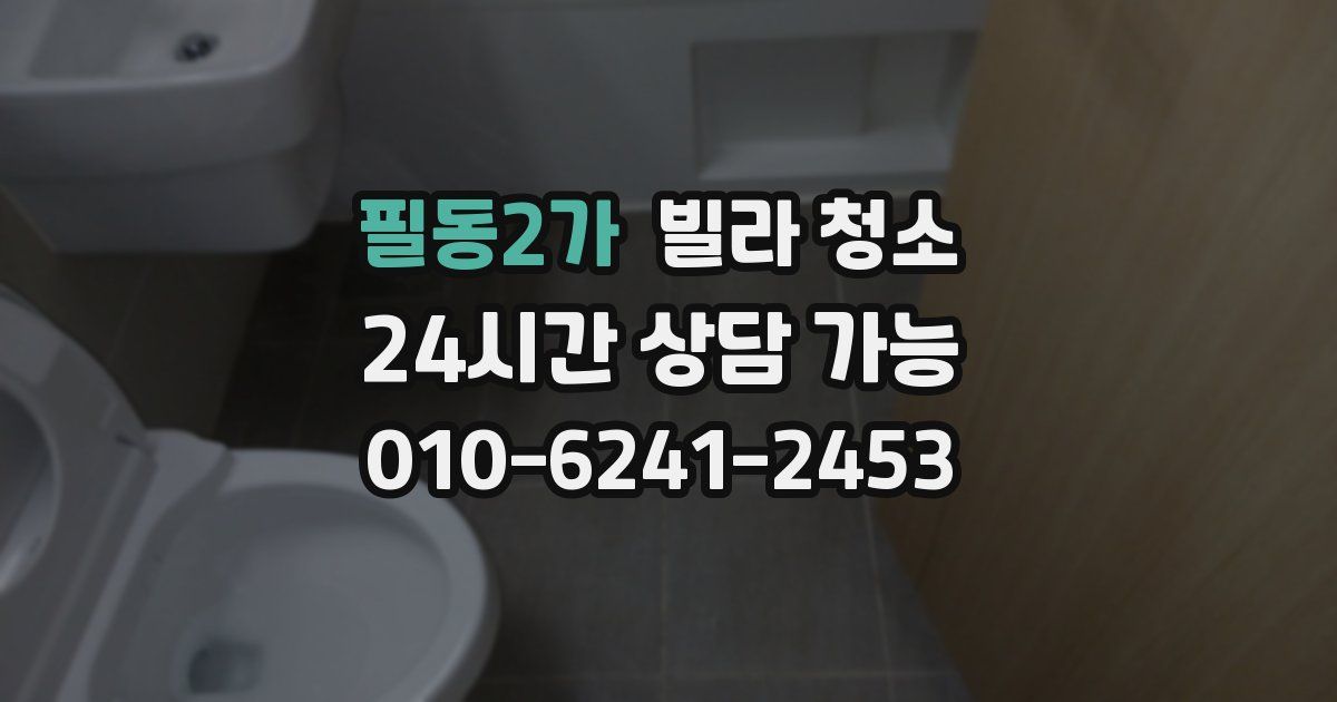 필동2가 빌라 청소