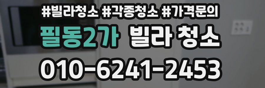 필동2가 빌라 청소